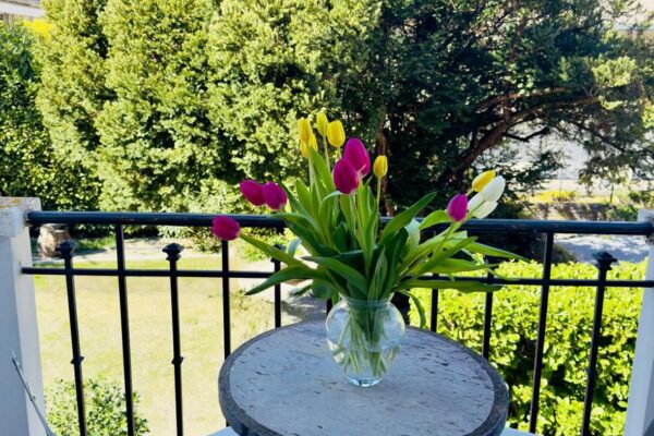 PHOTO-2026-04-08-12-53-29 (3)