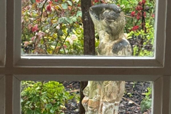 PHOTO-2026-04-08-12-54-52 (1)